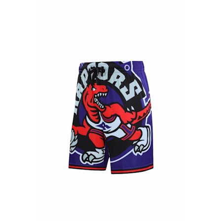 NBA Quick Dry basketshorts
