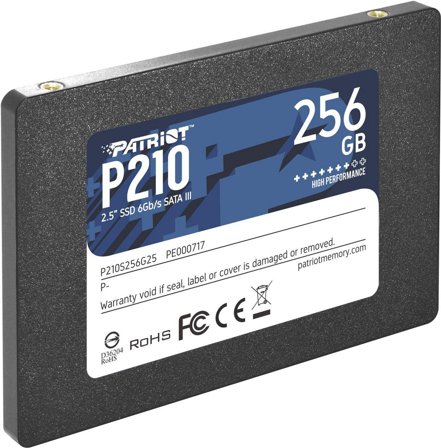 Patriot P210 - SSD - 256 GB - SATA 6Gb/s