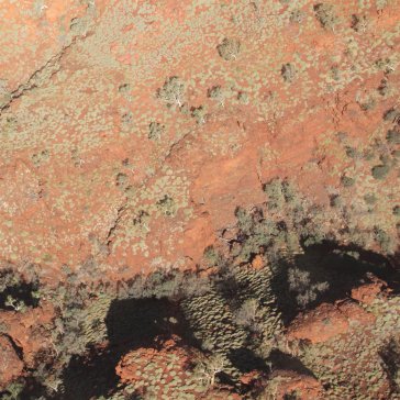 Tropic of capricorn (orange vinyl) LAWRENCE ENGLISH/WER