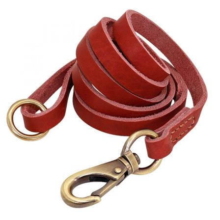 150cm Läder Hundkoppel Pet Walking Training Guide Schäfer Golden Retriever Mikrofon Rent Läder | koppel (rött)