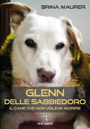 Glenn delle sabbiedoro. Il cane che non voleva morire Brina Maurer