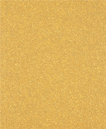 Bosch Expert C470 Slippapper 230x280 mm K40, Kapa, slipa & polera