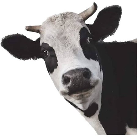 4 stk 3D ku bil klistremerker, PVC selvklebende vinyl klistremer gris klistremer bil motorsykkel bil vindu dør, klistremer klistremer