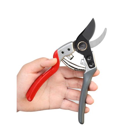 Professionel beskæring af grene og have