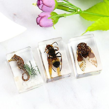 Kirkas Sisaeläin Merihevonen Ampiainen Kristalli Amber Koriste Näyte