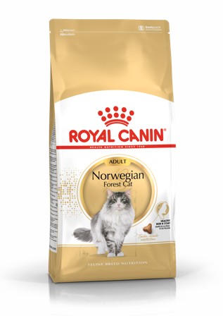 Royal Canin - Katterase Norsk skogkatt 2 kg - Katt - Kattefôr & kattemat - Tørrfôr for katt - ZOO.no