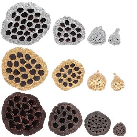 12 stk. Tørrede Lotus Frøkapsler DIY Dekor Lotus Frøkapsel Bordpynt Hjemmepynt