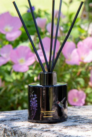 Vila Hermanos Jungle Colibri-Hummingbird Diffuser 100ml