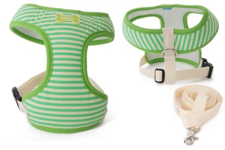 Puppy Angel - Across The Universe Green - Soft Sele og Kobbel