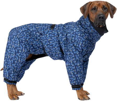 PAIKKA Winter Suit koiran takki, Blue - Koiranliivit & Takit