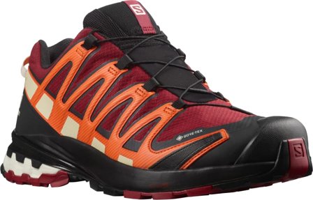 Salomon Men's XA Pro 3D V8 Gore-Tex Men hiking shoes Red 48