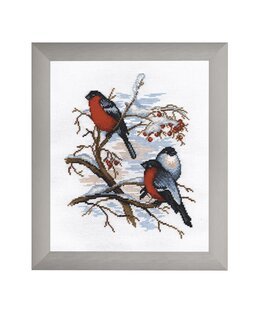 Kirjontapakkaus Taulu Punatulkut