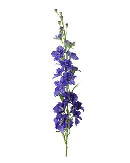 Konstväxt snittblomma Delphinium 90 cm 1-pack Lila - Mr Plant