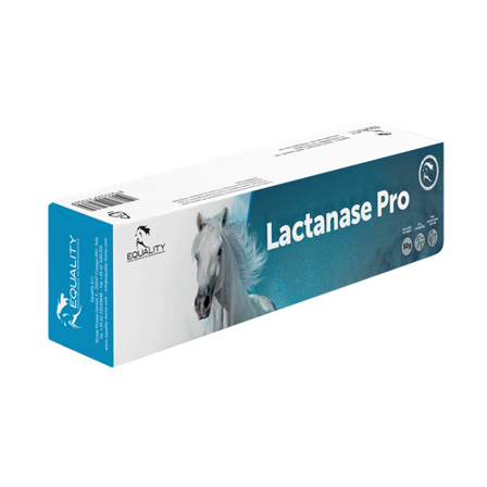 Lactanase Pro Pasta Orale Per Equini Sportivi Siringa 50g