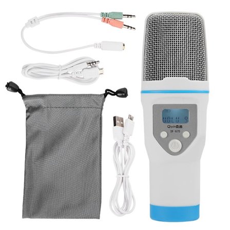 Professionell mobil mikrofon karaokehögtalare KTV musikspelare sånginspelare handhållen mikrofon vit