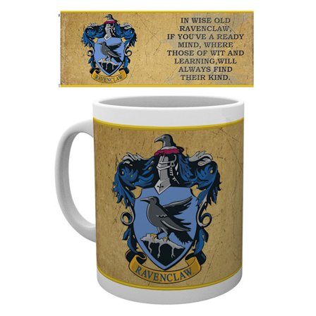 Harry Potter - Ravenclaw Characteristics - Mugg