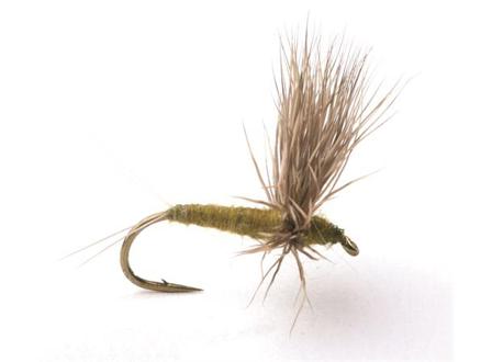 Guideline Comparadun Bwo # 16