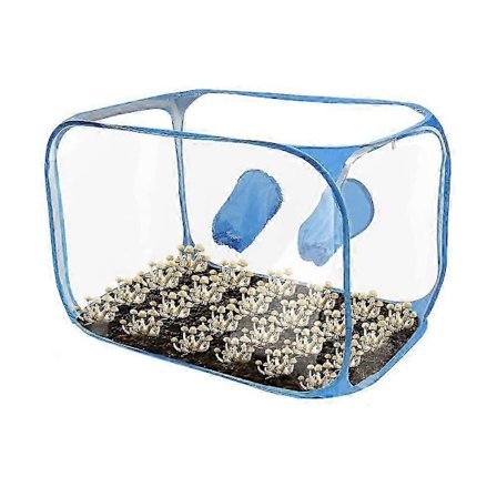 Sienikasvatusteltta Still Air Box