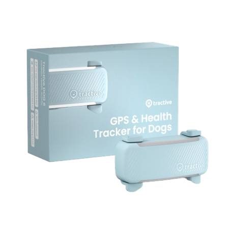 Tractive - GPS-tracker for hund Dog 6 - Mint 71 x 29 x 17 mm - Hund - GPS & sikkerhet - ZOO.no
