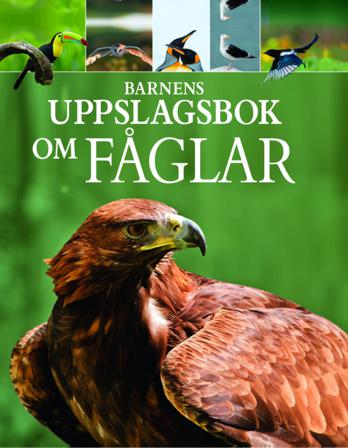 Barnens uppslagsbok om fåglar - Bok av Claudia Martin - Inbunden
