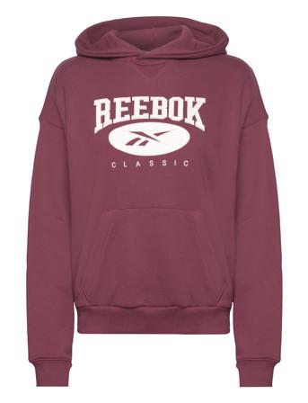 Cl Ae Big Logo Ft Ho Hettegenser Genser Burgunder Reebok Classics*Betinget Tilbud
