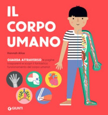 Il corpo umano. Ediz. a colori Alice Hannah