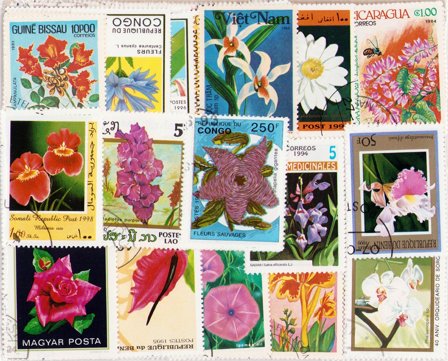 Blomster - 250 forskellige