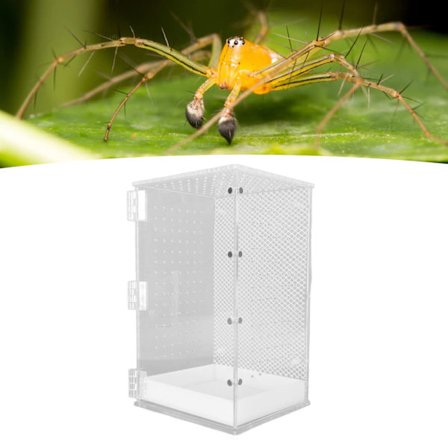 Reptil Terrarium Tank Akryl Meget Transparent Klar Habitat Tank til Leopard Gekko Slange Frø L