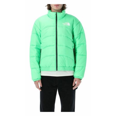 The North Face Outdoor Grøn, Herre Dunjakker, Størrelse: L