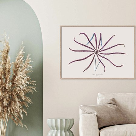 Aralia Veitchii — Plakat med flot illustration af plante fra Nature Remixed by Gehalt