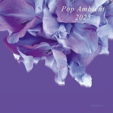 Pop ambient 2025 NA