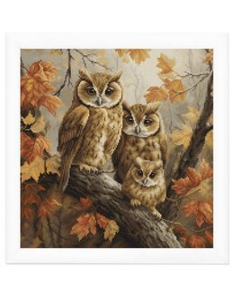 Stickpackung Bild Eulen