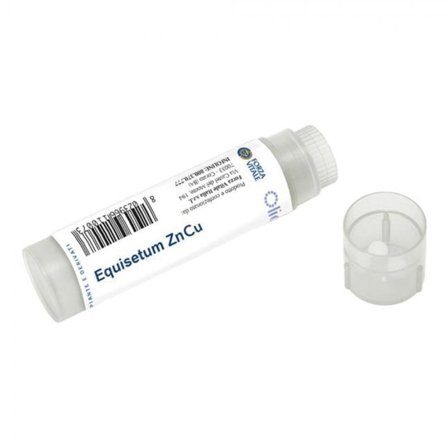 Equisetum Zn/cu 100 Globuli
