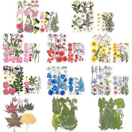 Pressede Blomster Små Tørrede Blomster Scrapbooking DIY Konserveret Blomsterindretning
