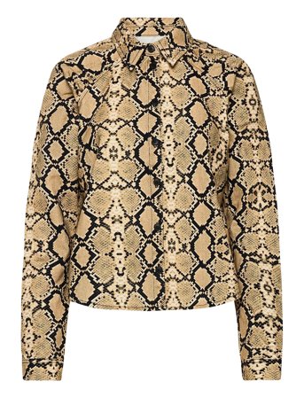 2NDDAY | 2Nd Kern Snake Thinktwice | 34