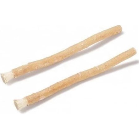 Miswak Tandborste Pinne Gren Tandborste Forntida Metod för att Rengöra Tänder Arabisk Växt