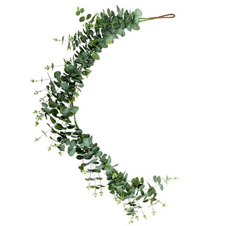 Eukalyptus nedstigning 140 cm