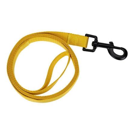 CANEM BASIC KOBBEL GUL L, Hund, Kobbel og bånd, Leiebånd