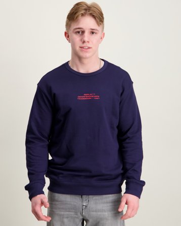 Replay Jumper Blå Tröjor Kille - Kids Brand Store