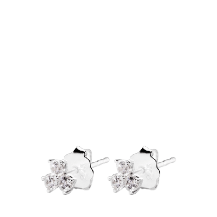 Drakenberg Sjölin Petite Star studs Smycken & klockor Dam Silver ONESIZE