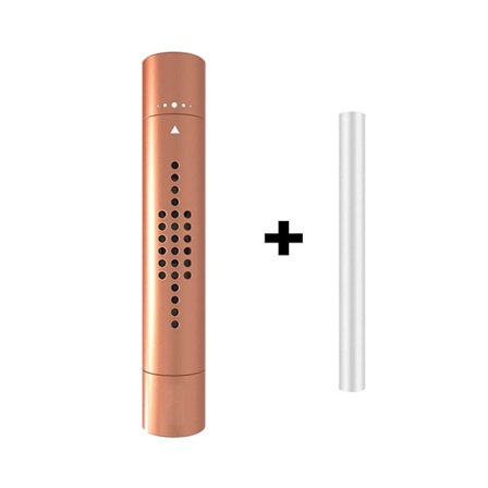 Bil Parfume Diffuser Freshener Diffuser GULD