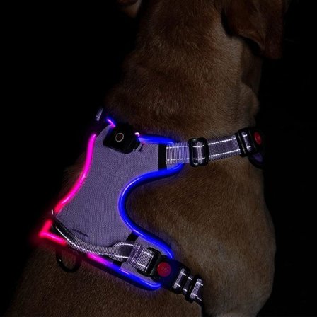 LED-belyst hundsele: Reflekterande justerbar väst med uppladdningsbar, No-Choke husdjurssele Enkelt kontrollhandtag (lila, S)