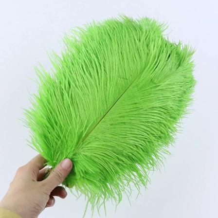 10 stk Hvide Strudsefjer til Håndværk Hjem Fest Bryllup Dekoration Naturlige 15-55cm Strudsefjer Bord Midtpunkt Dekoration green 15-20CM