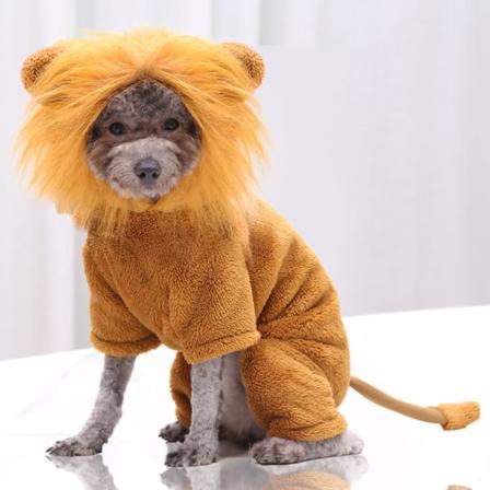 Husdjurskläder Höst och Vinter Fyrbenta Flanell Varma Hund Katt Husdjursmaterial Golden retriever LION l