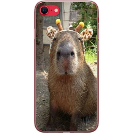 Yhteensopiva Puhelinkuori Apple Apple iPhone 8 Capybara
