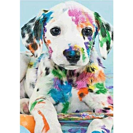 Diamond Painting Fyrkantiga Pärlor 50x70 Cm 5d Diy Hund Dalmatin Multifärg