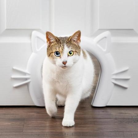 Kattkorridor kattedør, egnet for små, mellomstore og store katter
