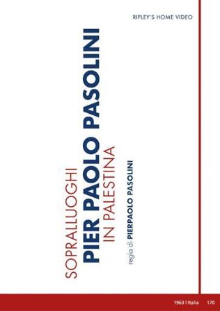 Sopralluoghi In Palestina