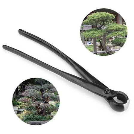 Bonsai-pihdit kovera suora leikkaus - ruostumaton teräs