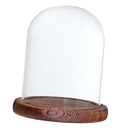 1 kpl Kirkas Lasinen Kasvien ja Kukkien Pidike Kupoli Näyttökansi Mehikasvien Terrarium